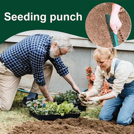 ⏳Begrenzte Zeit 50% Rabatt💥🌱Garten-Saatgutabstandshalter & Dibbler - 12-Loch-Präzisions-Pflanzwerkzeug