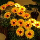🌻 Realistisch & Wetterfest | Solar-Sonnenblume 2026 Bestseller | IP65 Outdoor-Dekoration