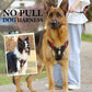 🐾50% Rabatt!🦮Zugstopp‑Hundegeschirr mit Front‑D‑Ring, komplett mit Leine & LED‑Halsband für sichere Spaziergänge 🔦
