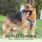 🐾50% Rabatt!🦮Zugstopp‑Hundegeschirr mit Front‑D‑Ring, komplett mit Leine & LED‑Halsband für sichere Spaziergänge 🔦