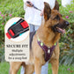 🐾50% Rabatt!🦮Zugstopp‑Hundegeschirr mit Front‑D‑Ring, komplett mit Leine & LED‑Halsband für sichere Spaziergänge 🔦