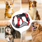 🐾50% Rabatt!🦮Zugstopp‑Hundegeschirr mit Front‑D‑Ring, komplett mit Leine & LED‑Halsband für sichere Spaziergänge 🔦