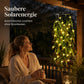 【⏰Zeitlich begrenztes Angebot – 50% Rabatt】Solarbetriebene Weidenblatt-Hängelichterkette