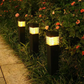 🌞Solar-Gartenleuchten für Außen – Wasserdichte LED-Wegeleuchten mit Erdspieß für Garten, Rasen & Gehwege